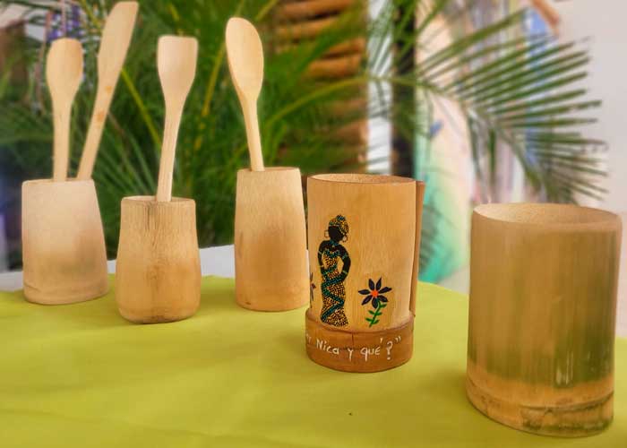MEFCCA realiza Curso Básico de Bambú para promover la innovación