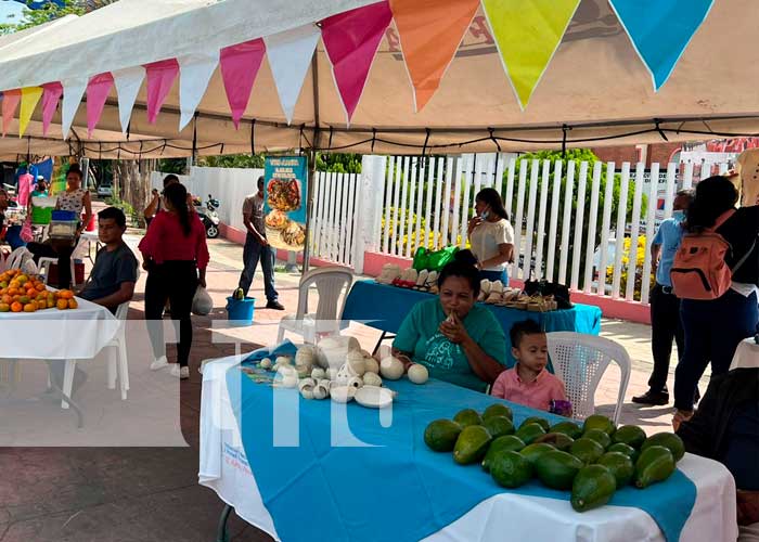Expo feria en la Avenida de Bolívar a Chávez en Managua 