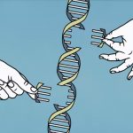 El código del genoma humano finalmente está completo