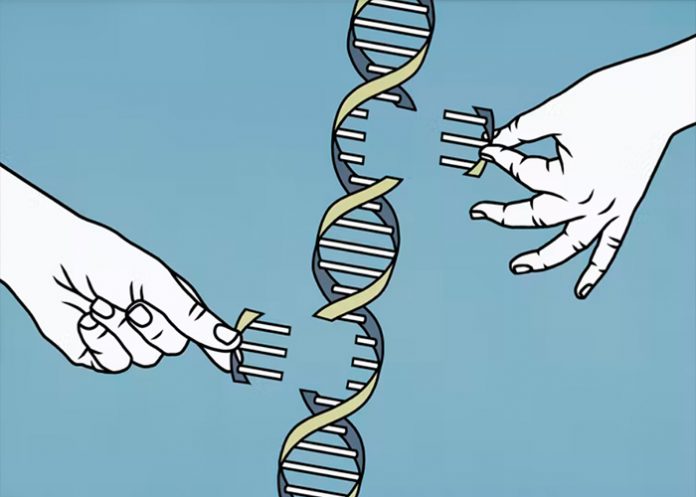 El código del genoma humano finalmente está completo