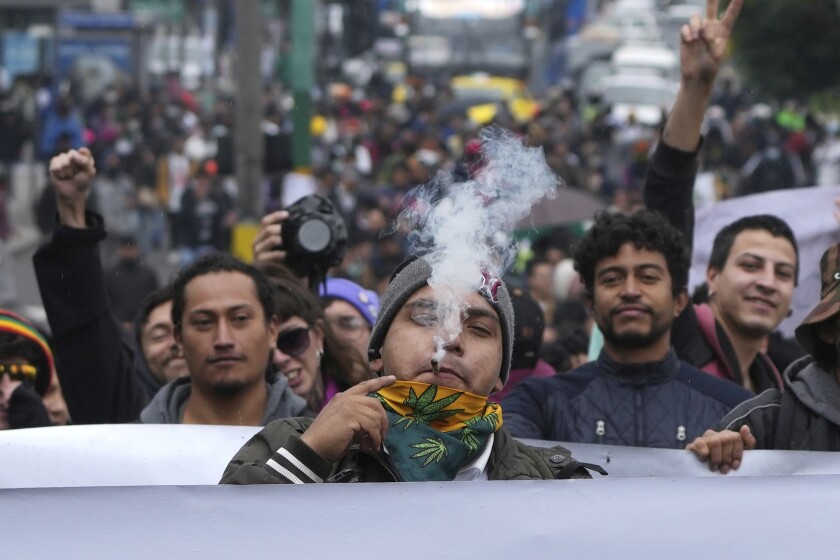 Manifestantes en Ecuador exigen la legalización total de la marihuana