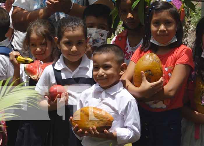 MINED Promueve seguridad alimentaria y nutricional en centros educativos en Somoto / TN8