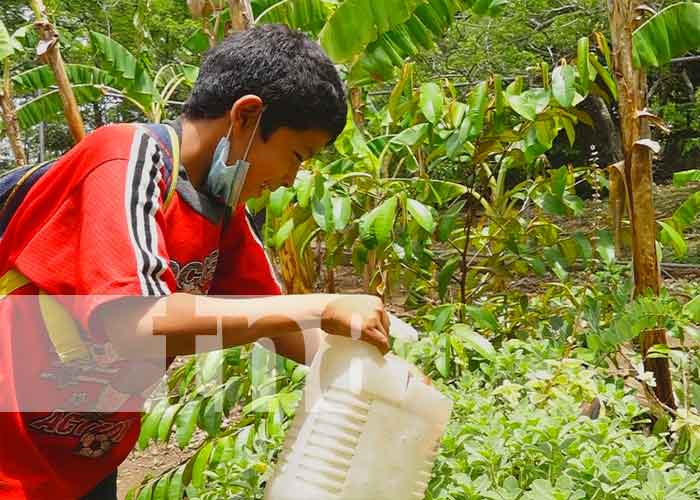 MINED Promueve seguridad alimentaria y nutricional en centros educativos en Somoto / TN8