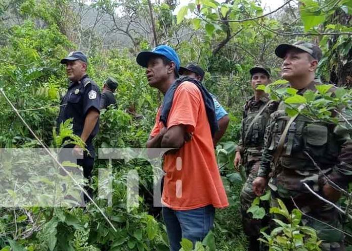 Foto: Autoridades de Nicaragua Constatan deslizamiento de tierra en el volcán Mombacho / TN8
