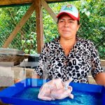 ¡Exitoso! Emprendimiento "Pollo Caribeño" en Bilwi con apoyo del MEFCCA