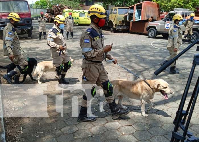 Unidades de bomberos realizan prácticas en conjunto de la Unidad de Rescate Canina