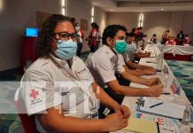 cruz roja de Nicaragua, reconocimiento de elecciones / tn8