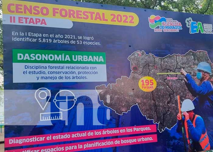 Alcaldía de Managua realizando censo forestal