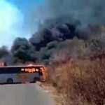 Enfrentamiento entre bandas deja tres muertos en Jalisco, México (video)