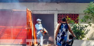 MINSA elimina zancudos en barrio Germán Pomares de Managua