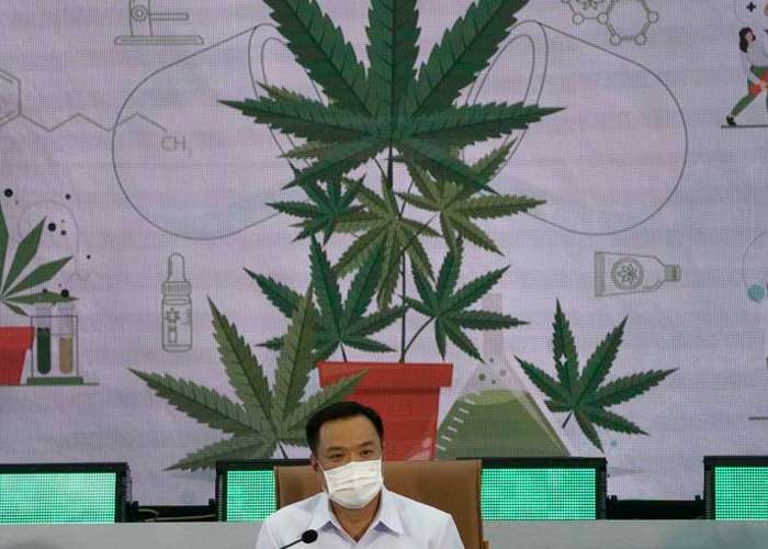 ¡Se luce! Tailandia regalará un millón de plantas de Marihuana