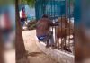 ¡Aterrador! León muerde la mano de un hombre en zoológico de Senegal