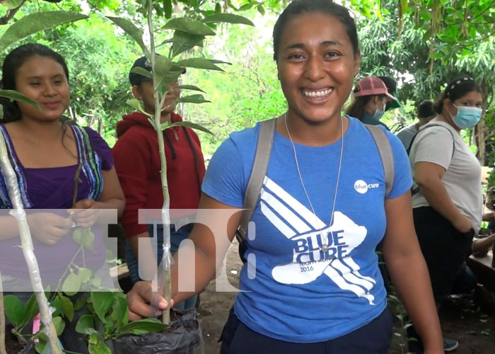 Productores aprenden a injertar plantas frutales en la Isla de Ometepe