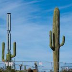 Afirman que los cactus funcionan como antena de banda ancha (WIFI)