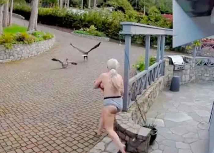 ¡VIDEO! Mujer "semidesnuda" salva a su ganso de un águila