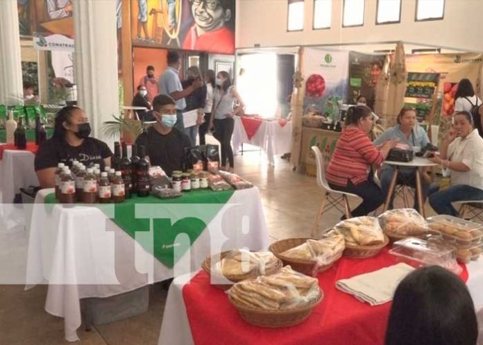 Estelí: en promoción a productores de café se realiza la Expo Café 2022