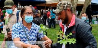 Realizan lanzamiento de jornada nacional de reforestación en Jinotega
