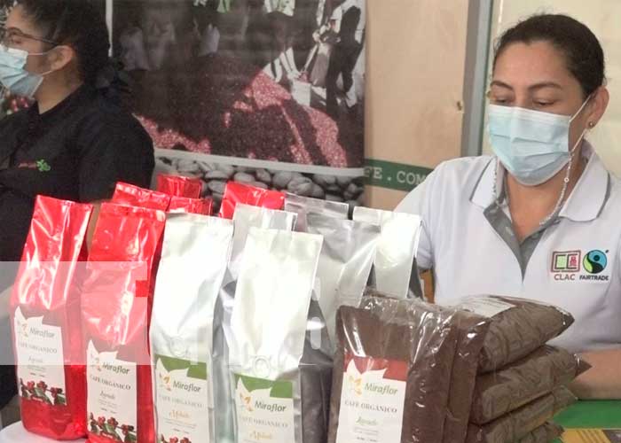 Estelí: en promoción a productores de café se realiza la Expo Café 2022