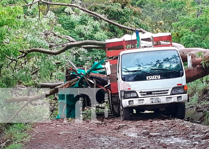 Un árbol cae sobre un camión y deja dos lesionados en Chontales