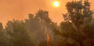 ¡España en llamas! Ola de calor provoca incendios