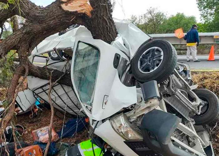 13 muertos y 8 heridos tras chocar un minibús en México