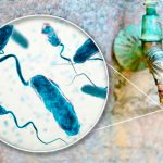 Cólera: Síntomas y causas de su contagio