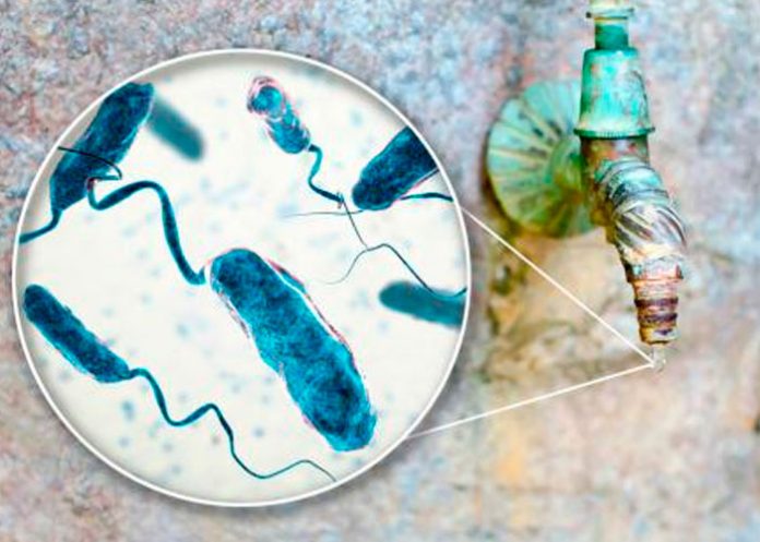 Cólera: Síntomas y causas de su contagio