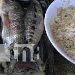 Acuicultor elabora concentrado para peces en la Isla de Ometepe