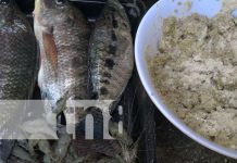 Acuicultor elabora concentrado para peces en la Isla de Ometepe