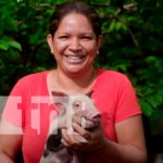 Actividad porcina en Nicaragua avanza por buen camino