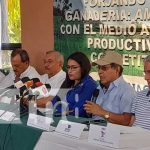 Sector Ganadero en Nicaragua reporta crecimiento en valor