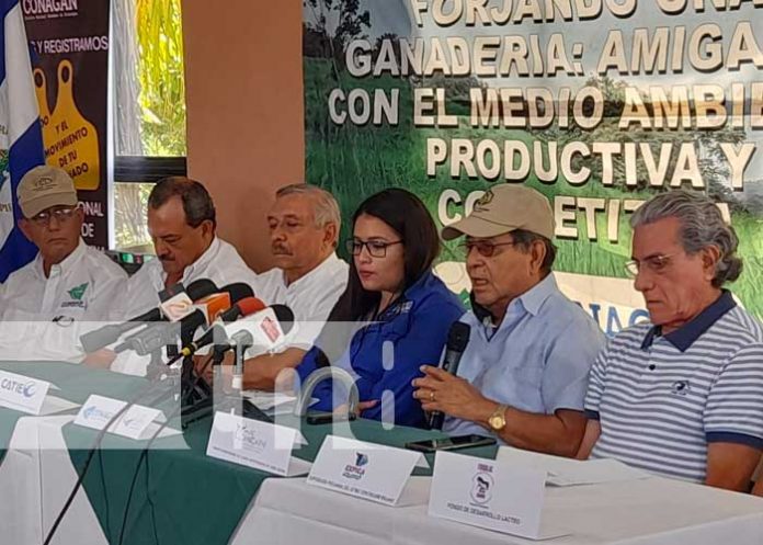 Sector Ganadero en Nicaragua reporta crecimiento en valor
