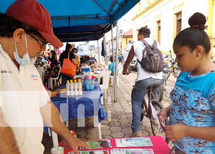 Foto: INTA Granada realiza exposiciones de semilla para cosecha 2022 / TN8