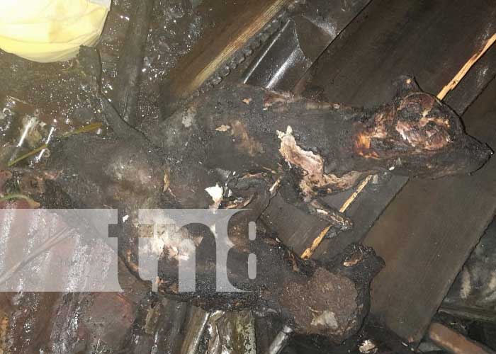 Caninos muertos tras incendio en Jinotega 