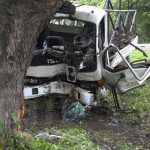 Conductor se estrella contra un árbol en León