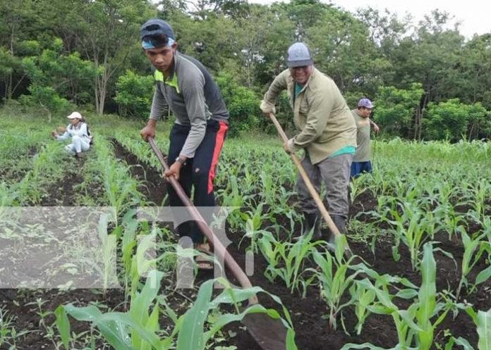 Agricultores de Rivas expectantes para la siembra de primera