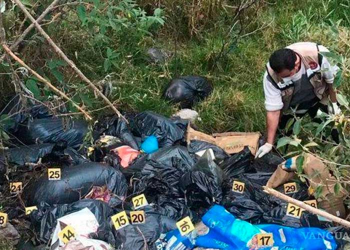 ¡Macabro! Dejan más de 100 cadáveres de perritos en bolsas negras en México