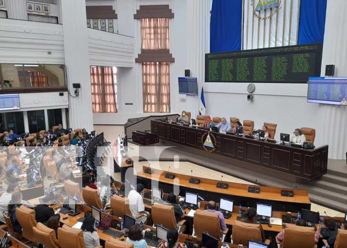 Sesión parlamentaria en la Asamblea Nacional 