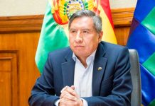 Bolivia rechaza la posición de Jair Bolsonaro por ofrecerle asilo Áñez