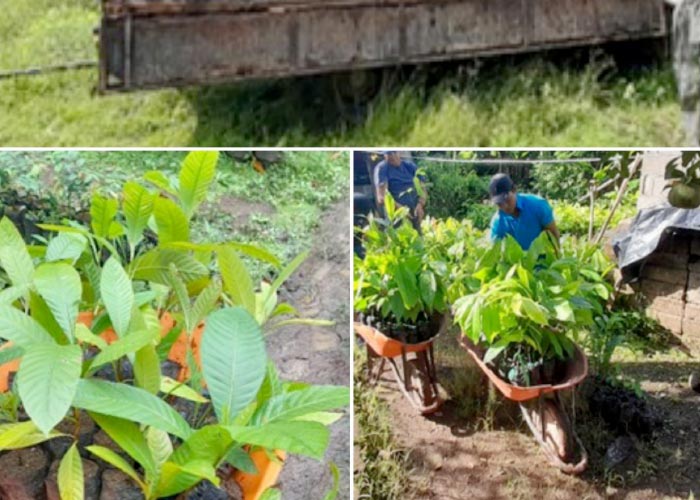 Gobierno de Nicaragua reforestó fuentes de agua y plantas de tratamiento