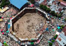 Desplome en plaza de toros dejó cuatro muertos y varios heridos en Colombia