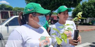 Jornada por el Día del Árbol en Nicaragua