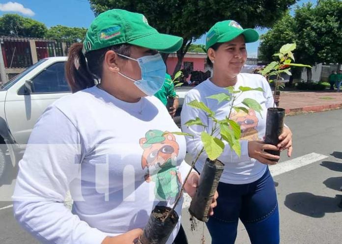 Jornada por el Día del Árbol en Nicaragua