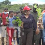 Jornada de reforestación en Estelí