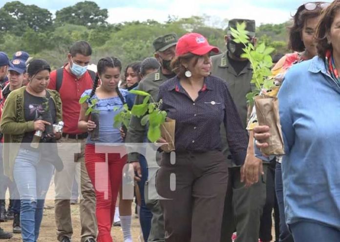 Jornada de reforestación en Estelí