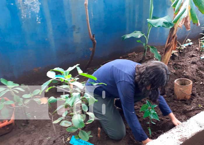 MINED realiza Lanzamiento de jardines botánicos en Tipitapa