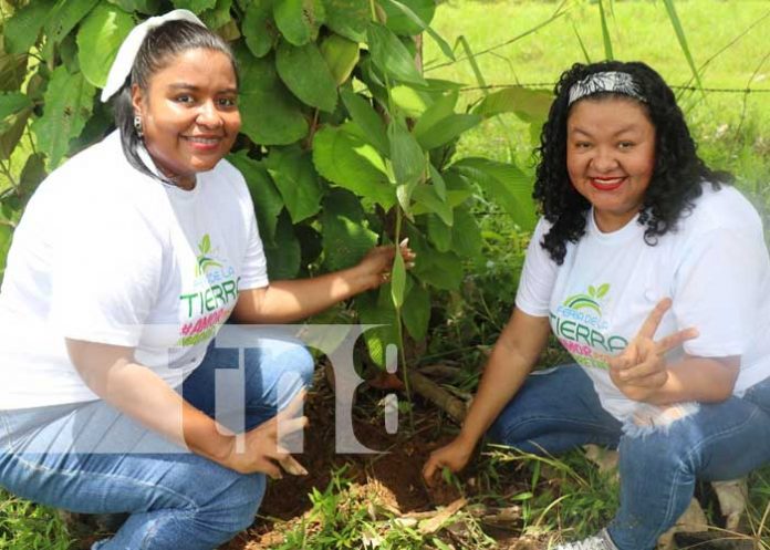 Realizan jornada de reforestación en Siuna en beneficio de productor local
