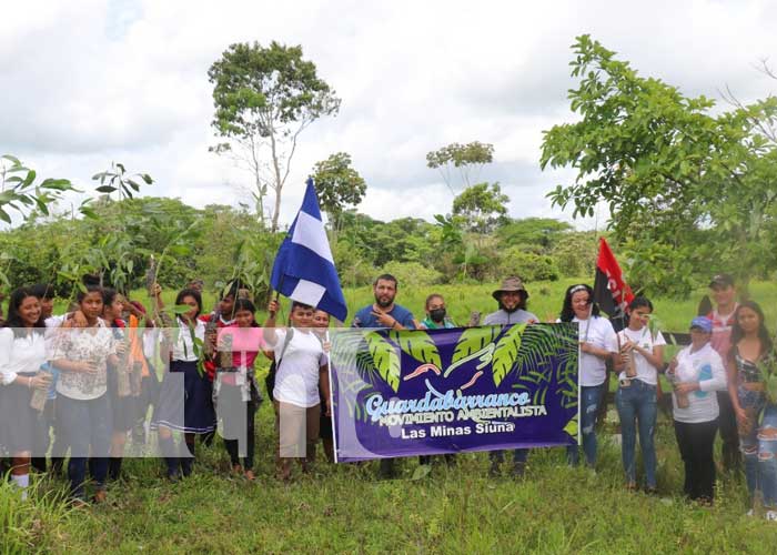 Realizan jornada de reforestación en Siuna en beneficio de productor local