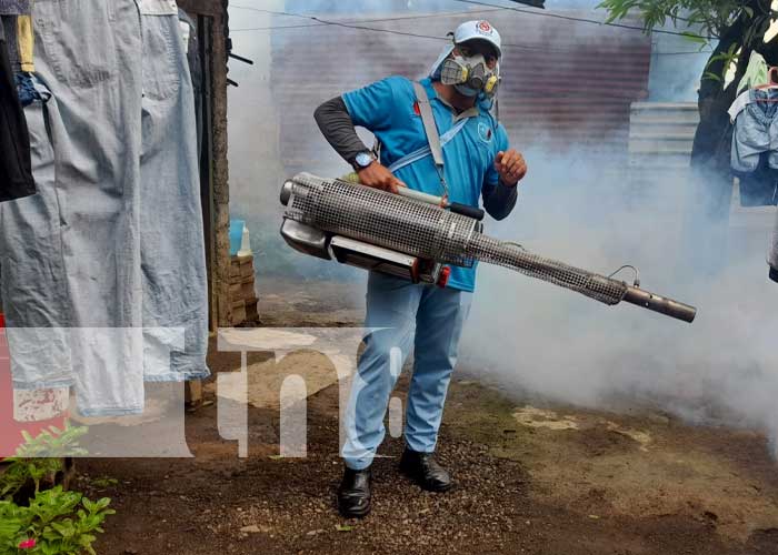  Labores de fumigación y abatización en Managua 