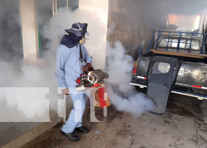 Fumigación y abatización en viviendas de Managua